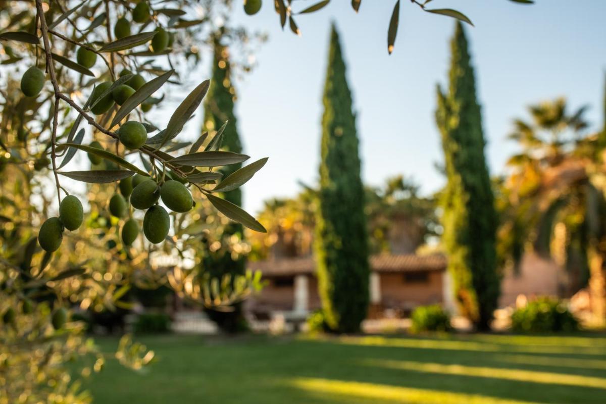 Jardin de l'établissement HOTEL et APPARTEMENTS DOMAINE DES CLOS - Teritoria