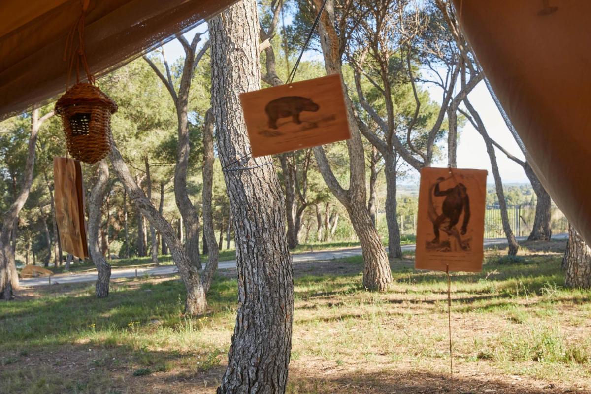 Photo de la galerie de l'établissement Château Capitoul, à Narbonne