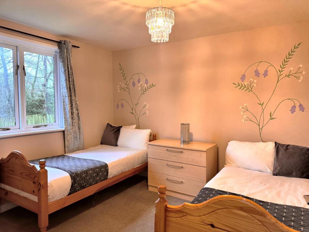 BlueBell 16-Hot Tub-Woodland Lodges-Pembrokeshire - Housity