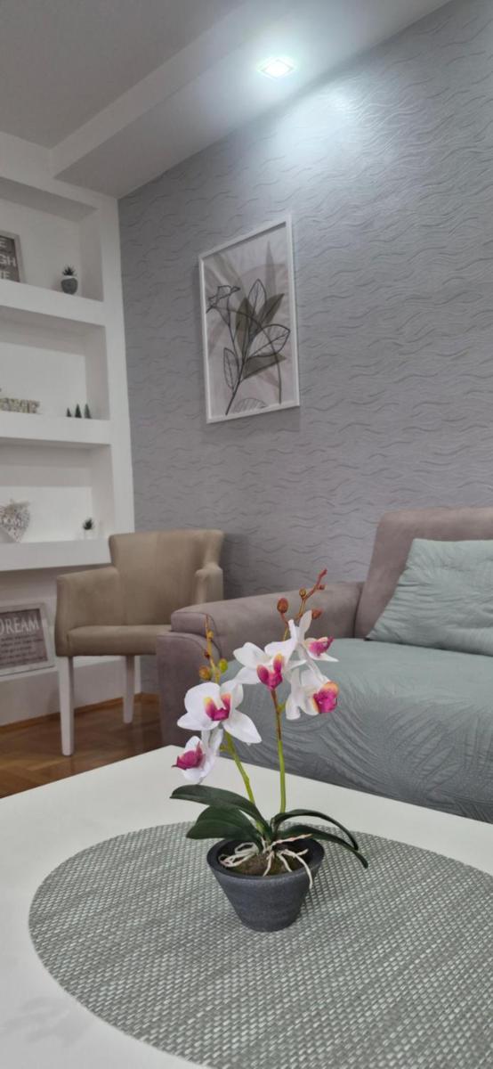 Apartman Vukota Pirot - Housity