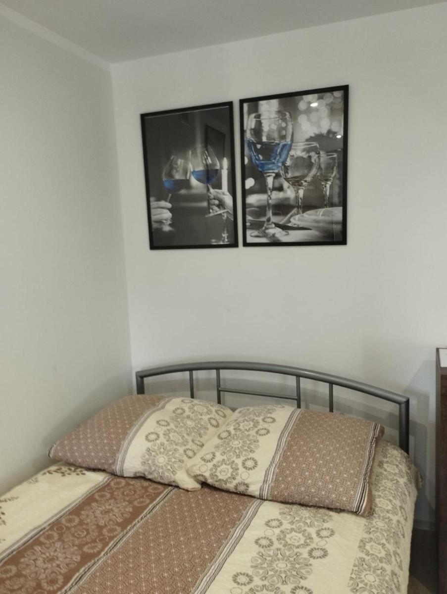 Eye of the Tiger. Apartament w centrum Mrągowa. - Housity