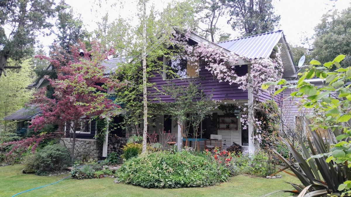 Dodo House - Housity