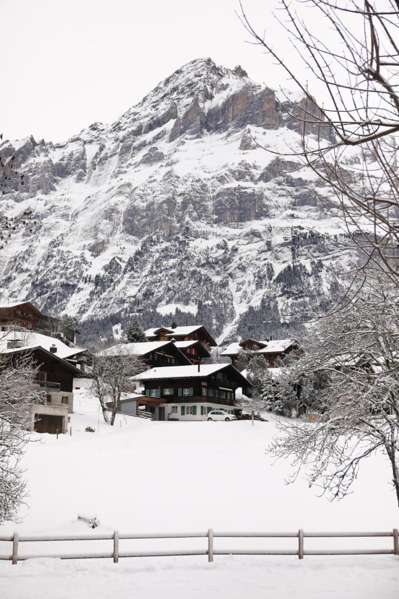 Brand New, 5min to Ski PARADISE ! - Housity