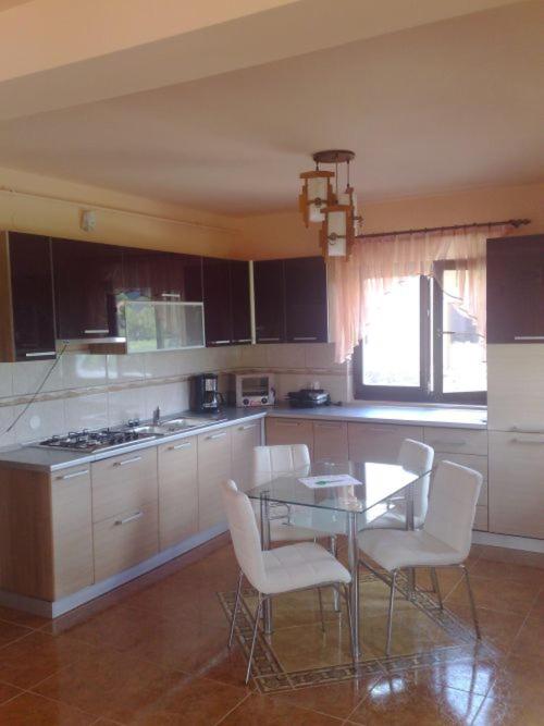 Colt de Rai - Housity