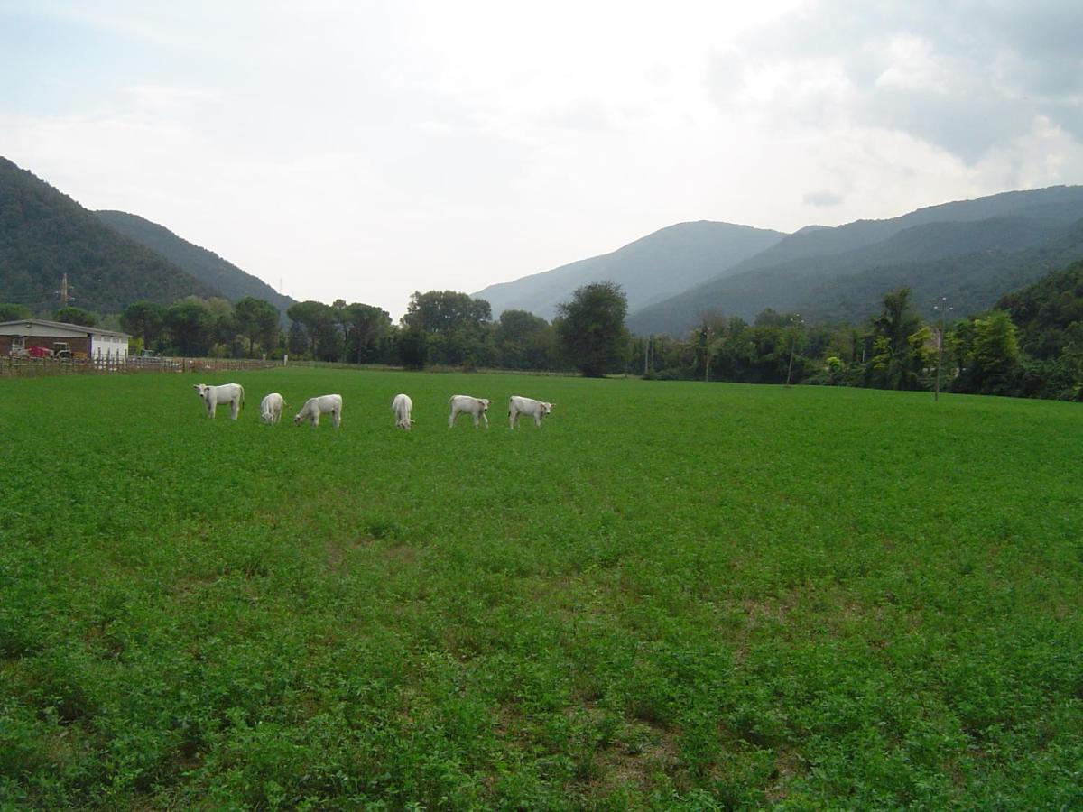 L' Antico Casale - Housity