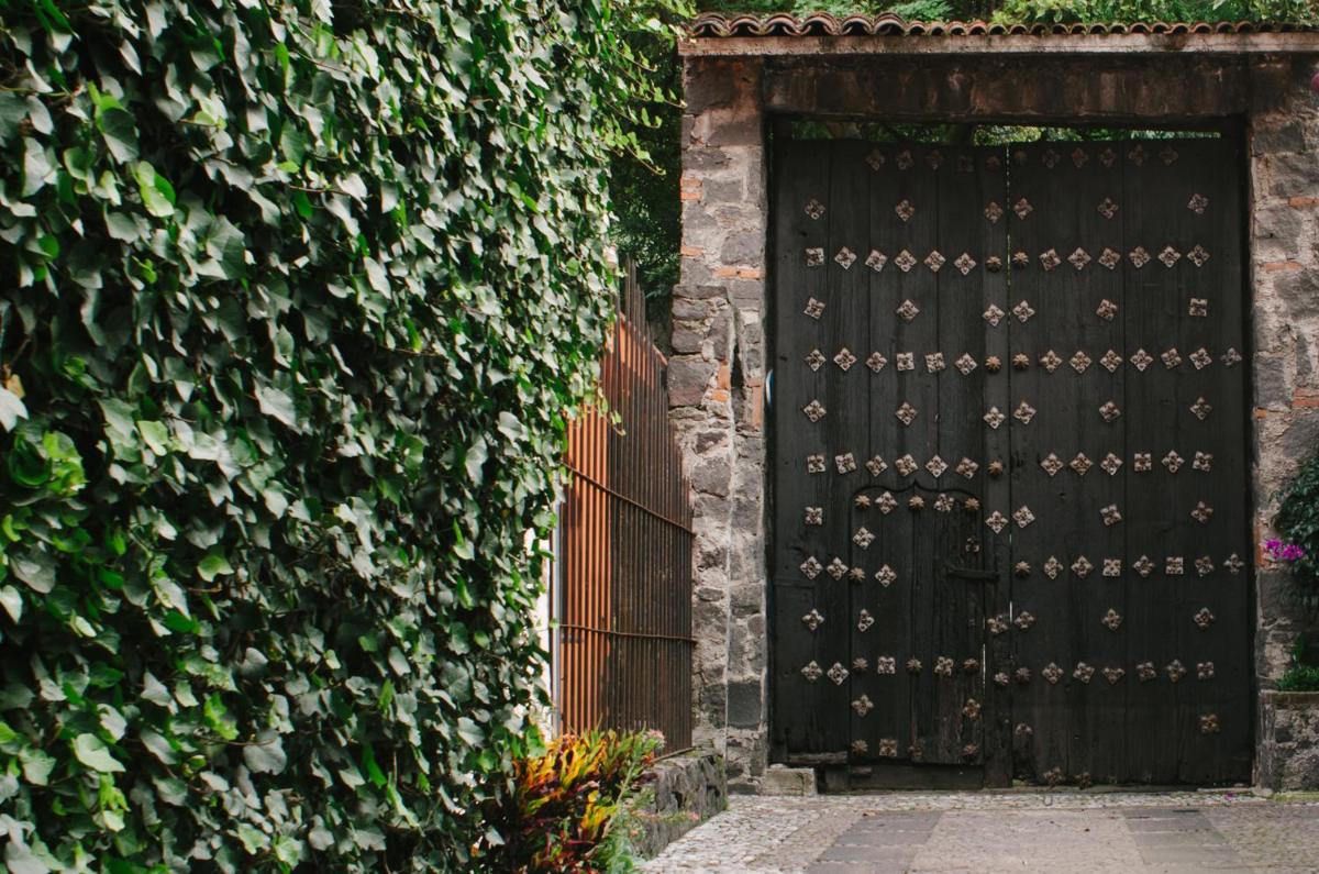 Villas Sol y Luna Coyoacan - Housity