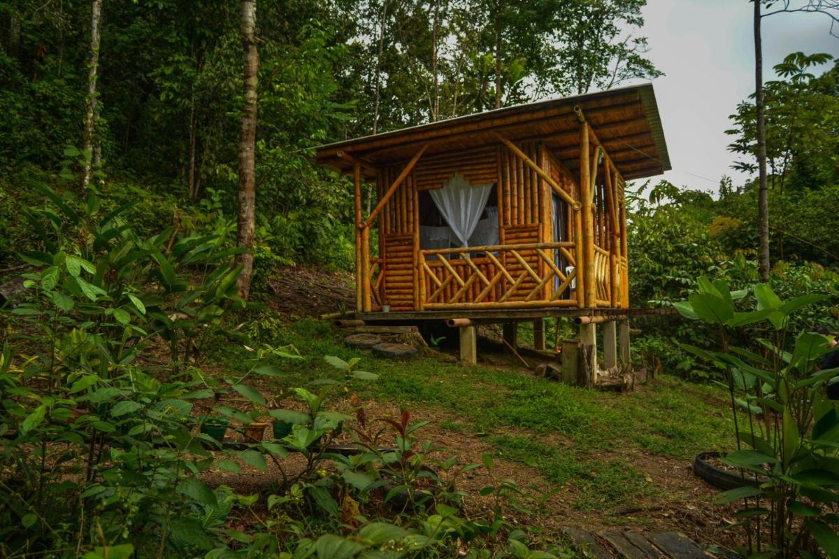 Donde se Oculta el Sol - Housity