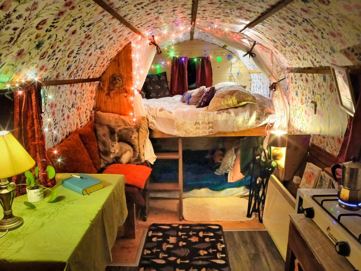 The Wonderly Wagon - Housity