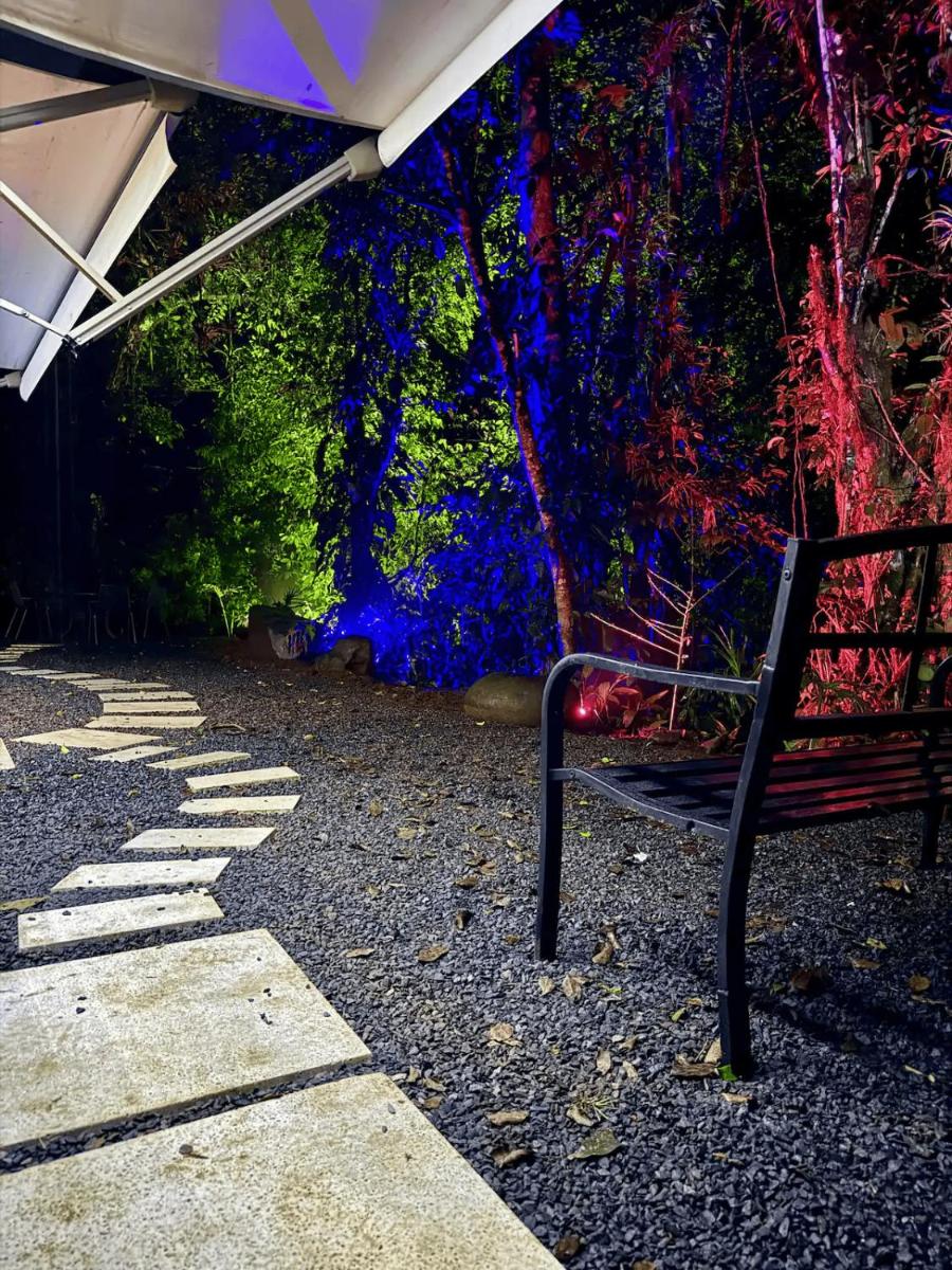 Sweet Jungle - Housity