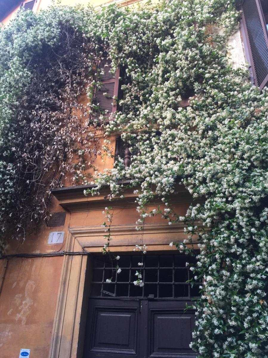 Guest House Navona 2 - Housity