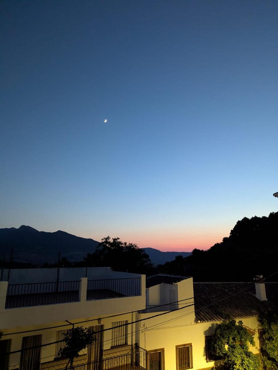 Villa La Roca - A fusion of modern and typical Andalucian architecture - Housity