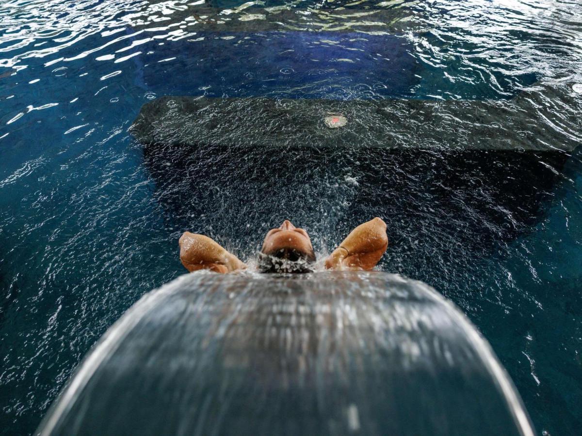 Animaux dans l'hôtel ou à proximité