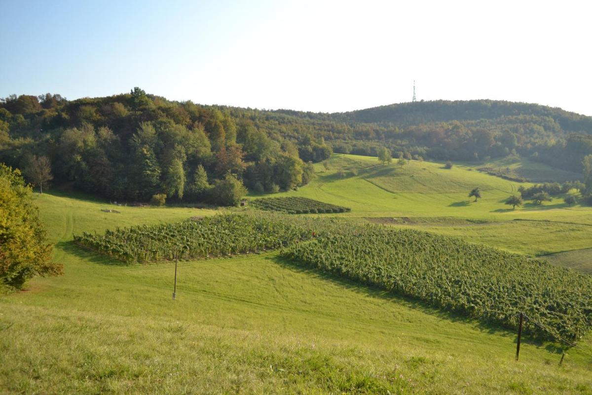 Bosnian Country House Visoko - Housity