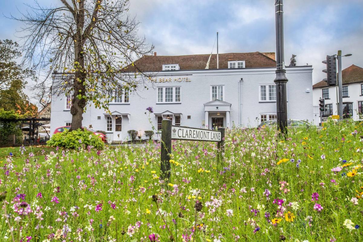 The Bear Esher - Housity