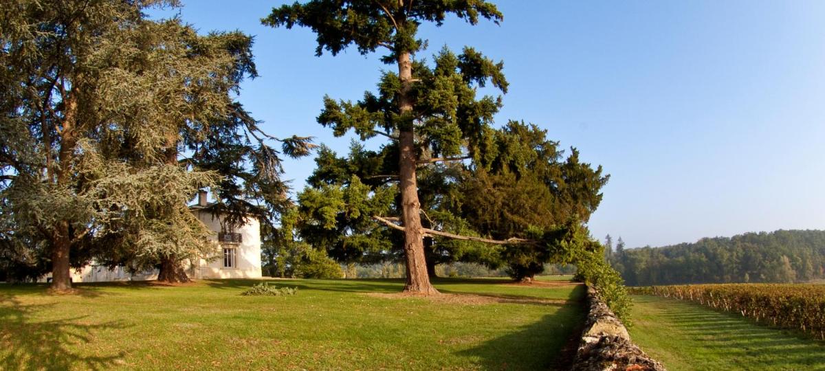 Les Secrets Château Pey La Tour - Logis Hôtels & Restaurant - Housity