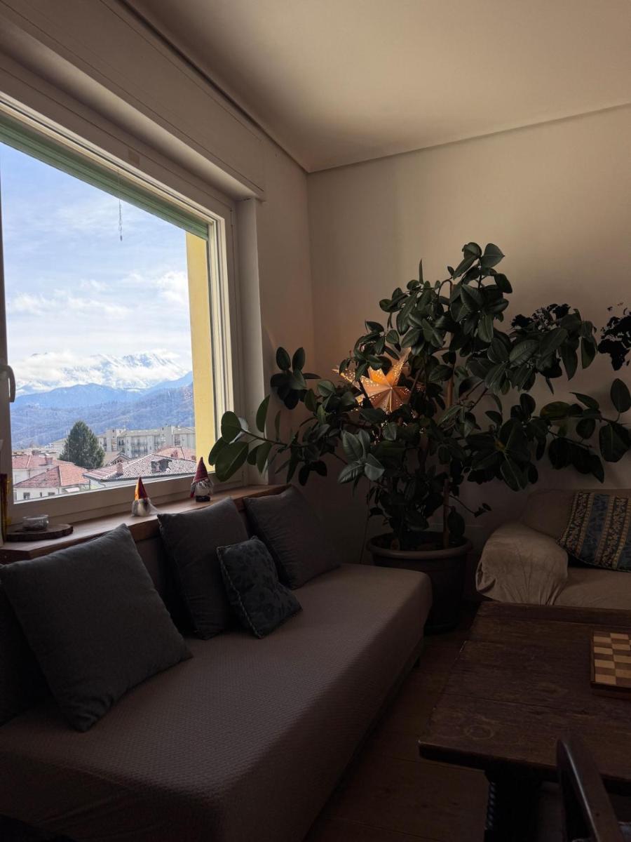 Alberi b&b - Housity
