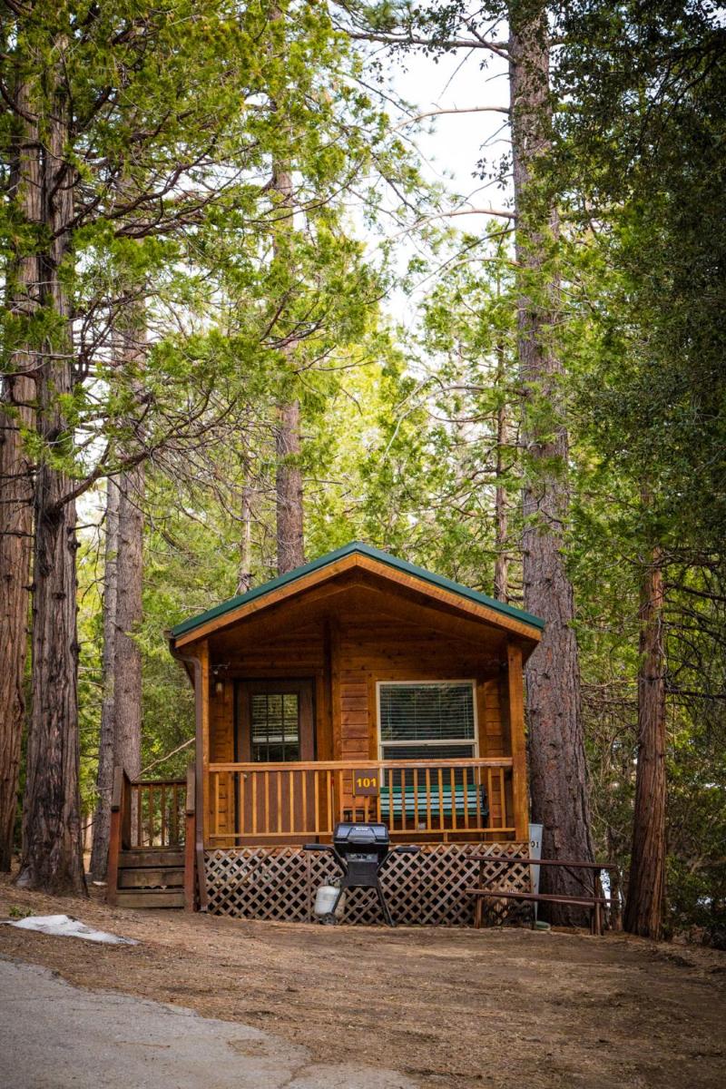 Idyllwild Camping Resort Cabin - Housity