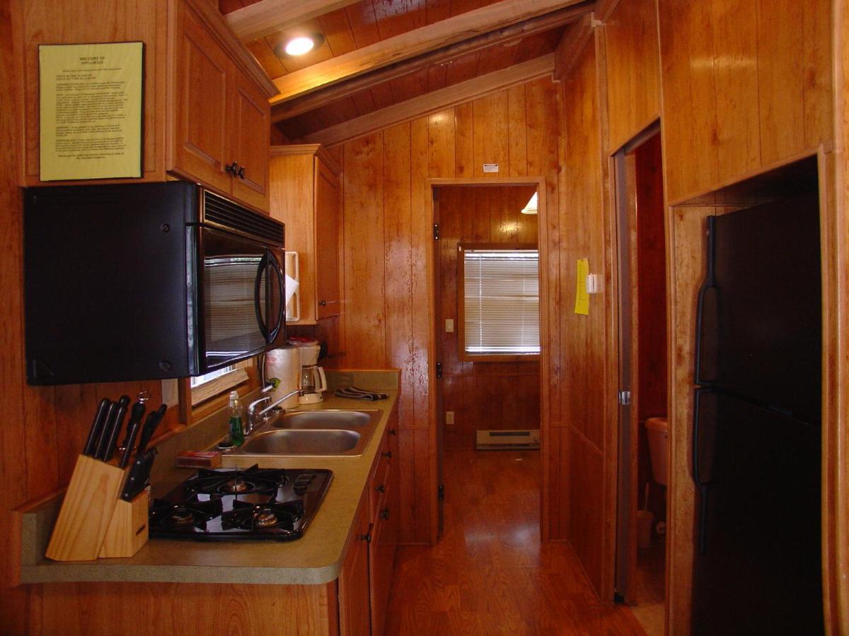 Idyllwild Camping Resort Cabin - Housity