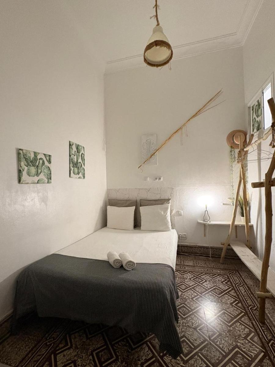 Cactus Host - Housity
