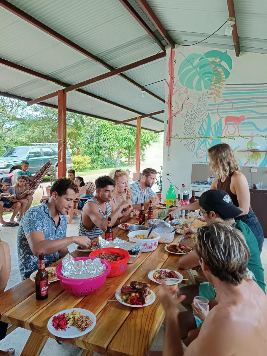Hostal Tortuga Surf - Housity