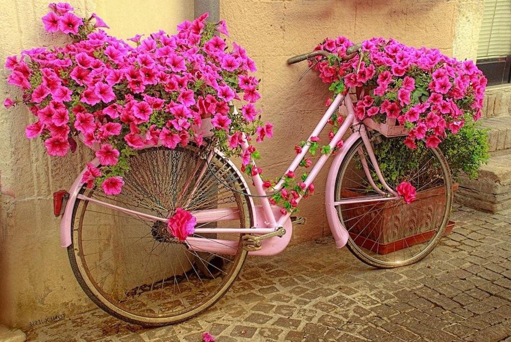 FOR YOU Half Moon - Housity