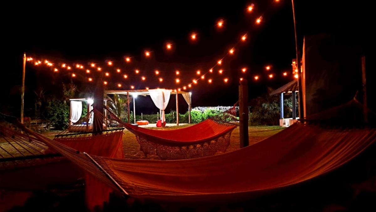 Franz Beach - Housity