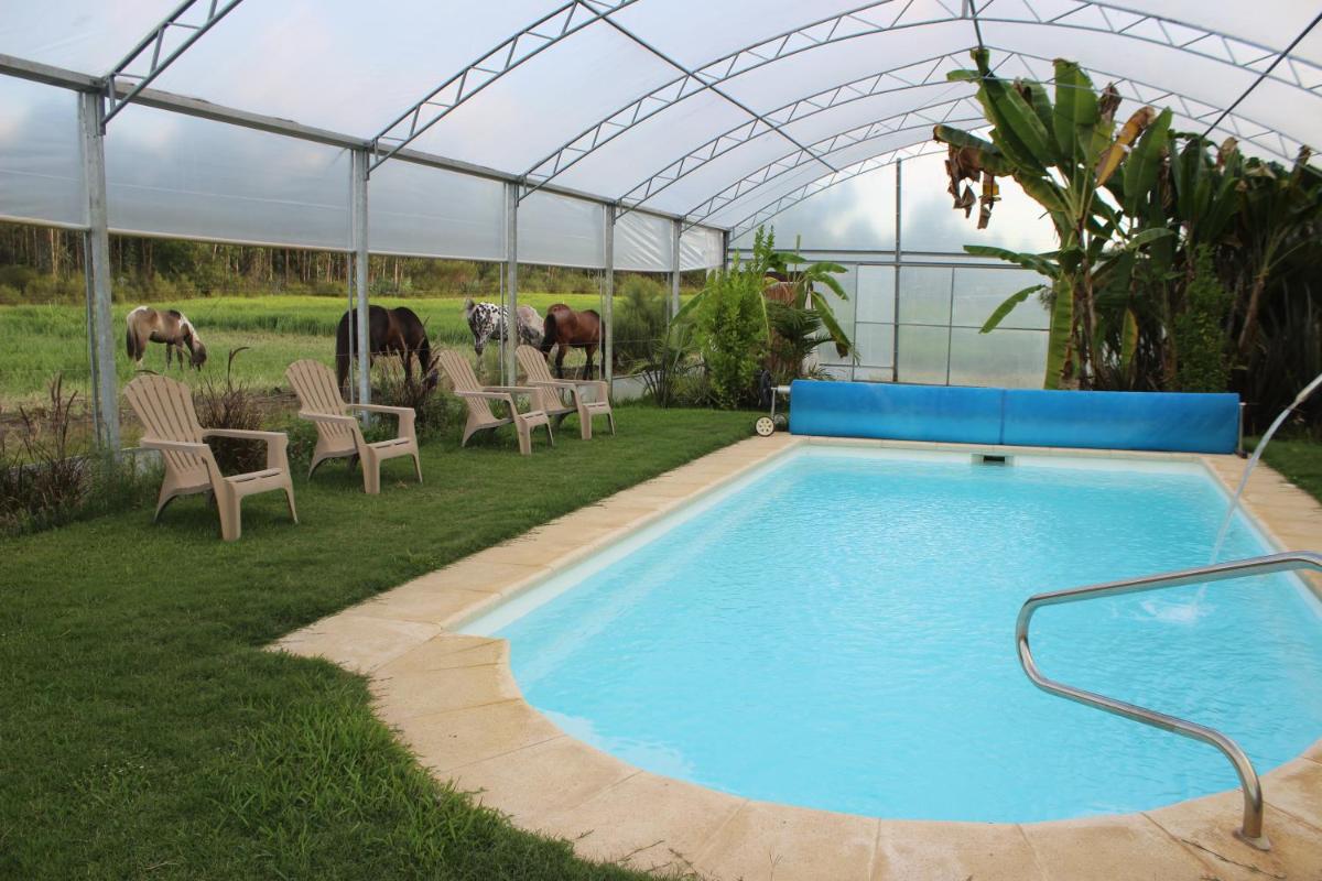 Haras El Despertar - Housity