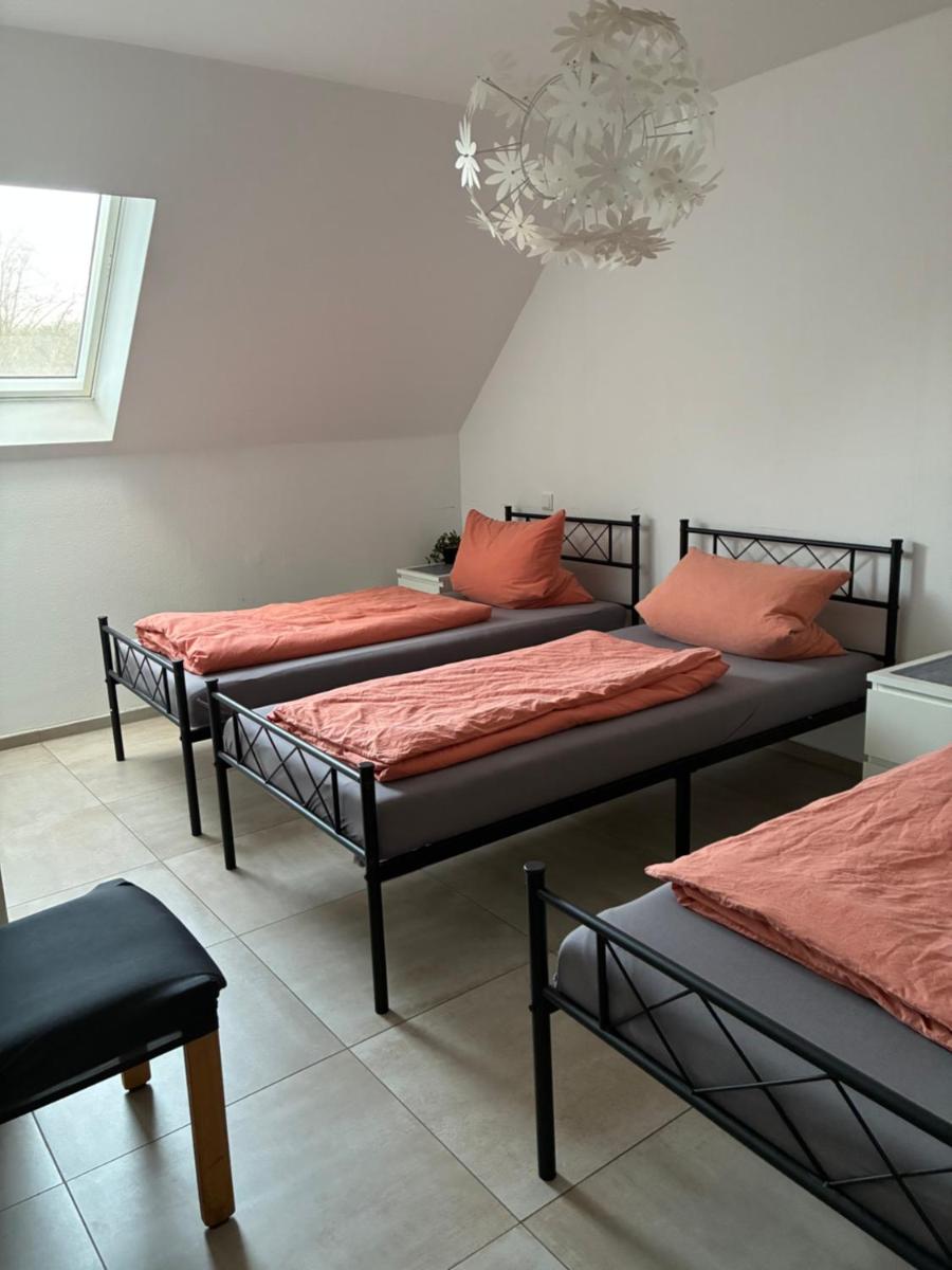 MP Apartments - Housity