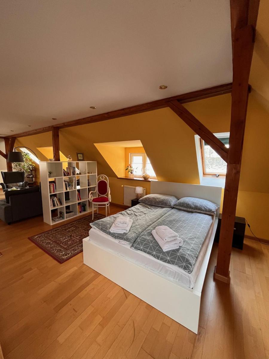 Apartament Parkowy - Housity