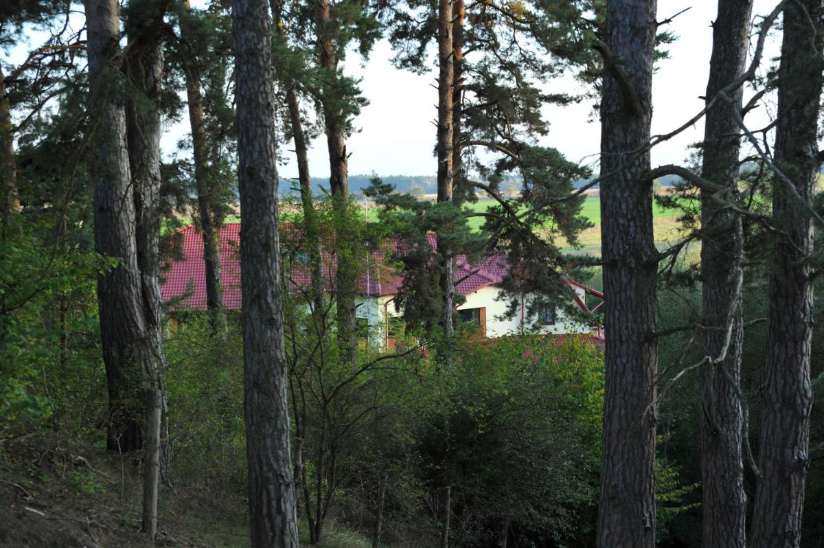 Rasarit de Soare - Housity