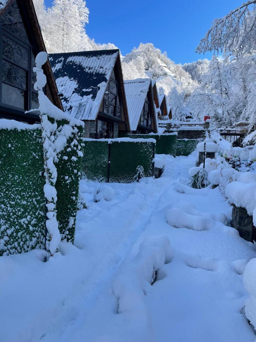 River Bungalov - Housity