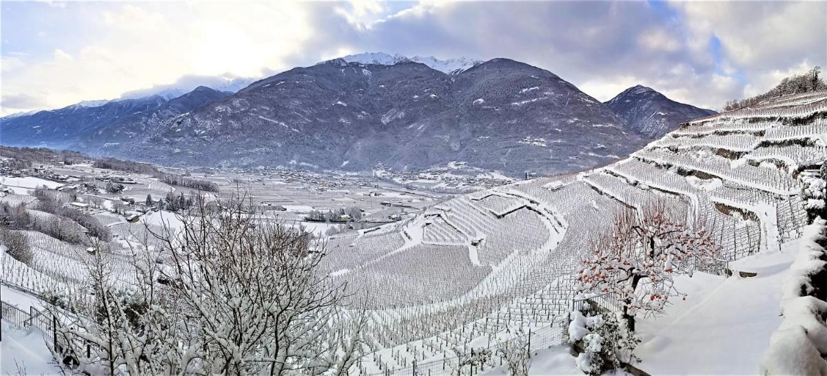 Casa il Glicine Valtellina - Housity