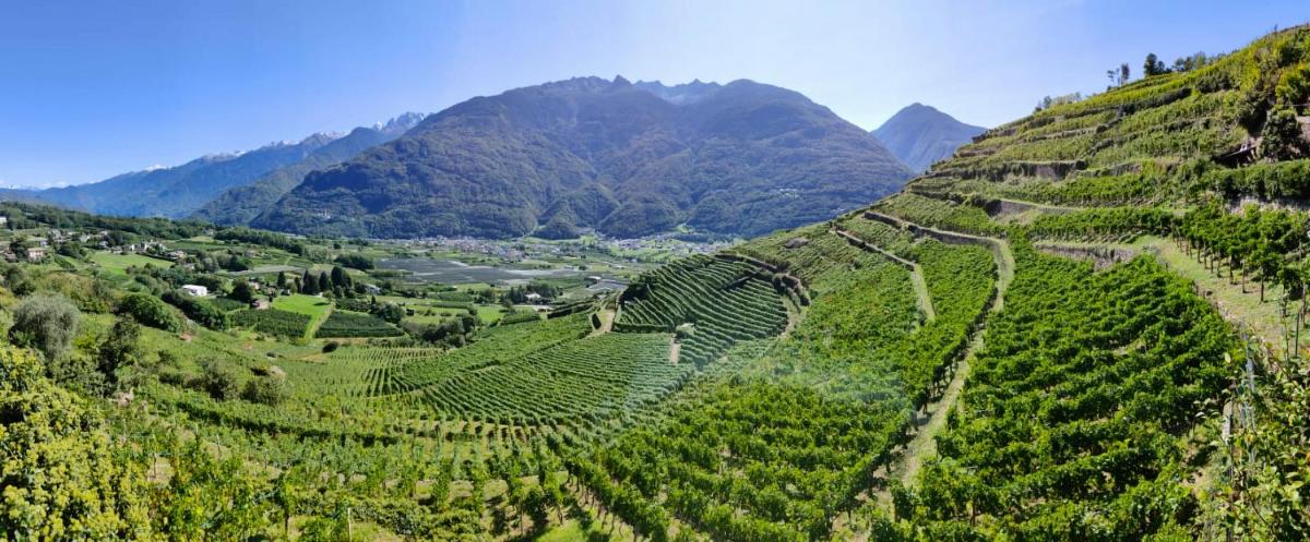Casa il Glicine Valtellina - Housity