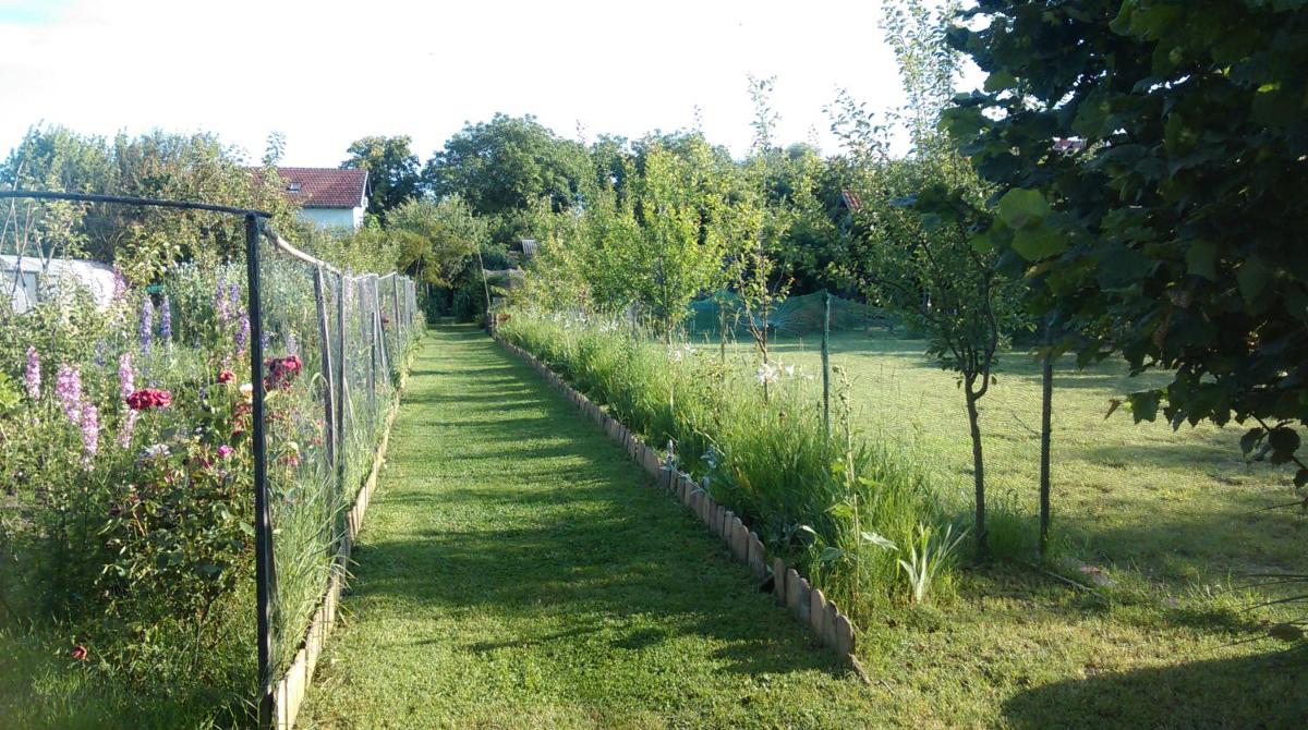 Farm stay Lackovic - Housity