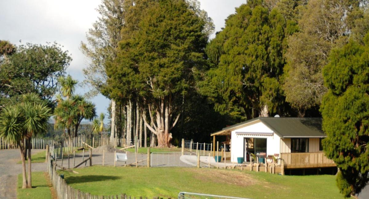 Kohinui Glade Holiday Cottage - Housity
