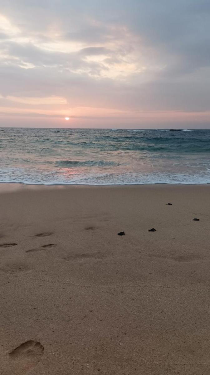 Sea Crest Beach Villa - Housity