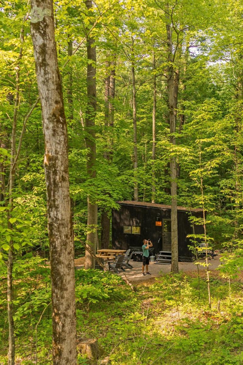Postcard Cabins The Thumb, Outdoor Collection by Marriott Bonvoy - Housity