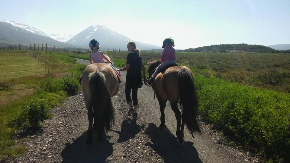 Stormur Cottages - Housity