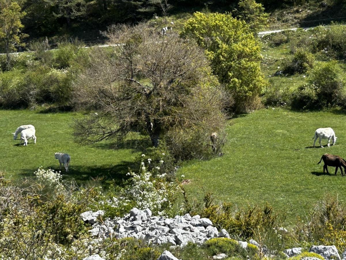 Tente Lodge transparente a 45 min de Nice VOIE LACTEE - Housity