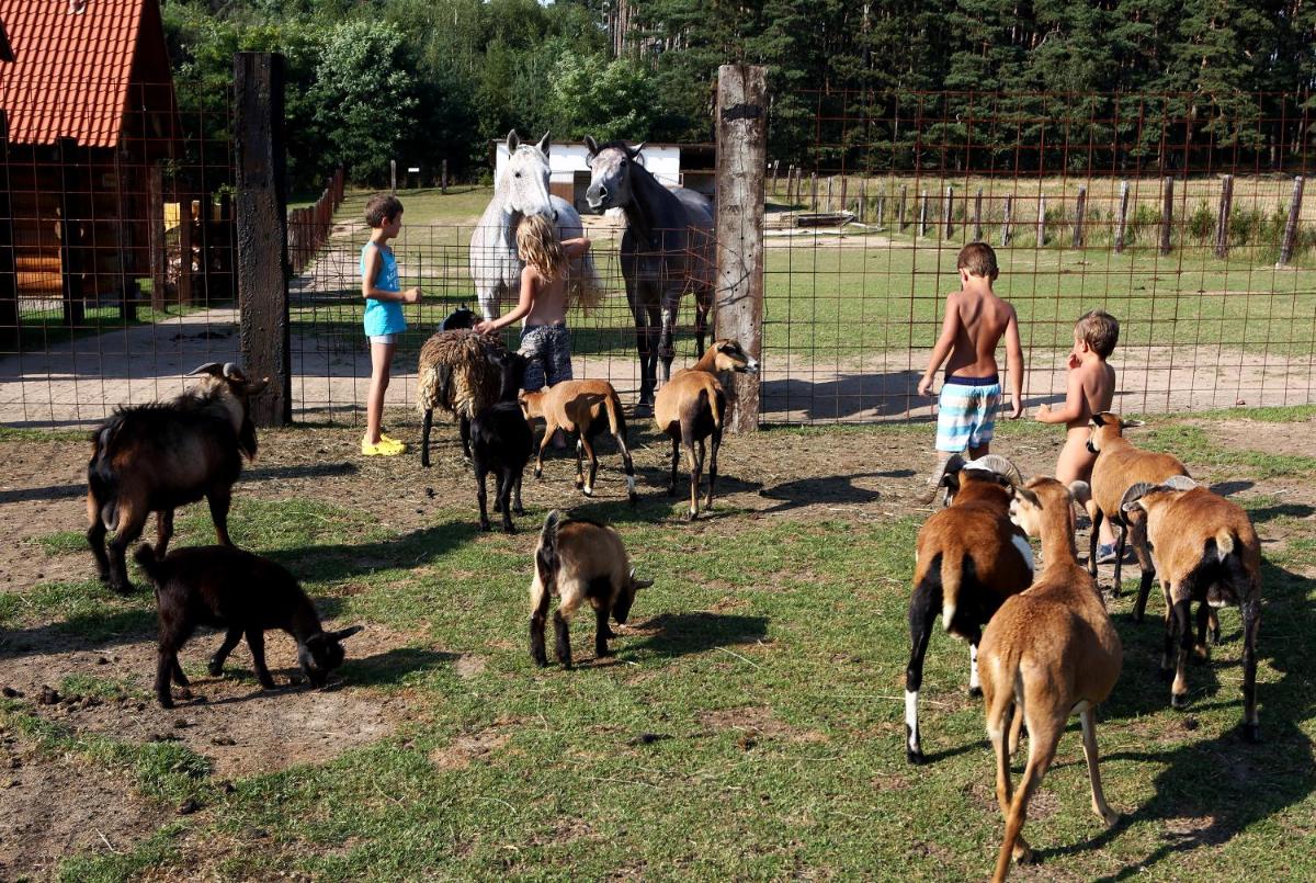 Na Samotě Ve Srubu - Housity