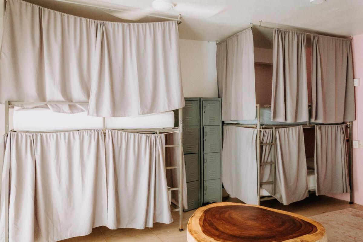SurfNest Hostel - Housity