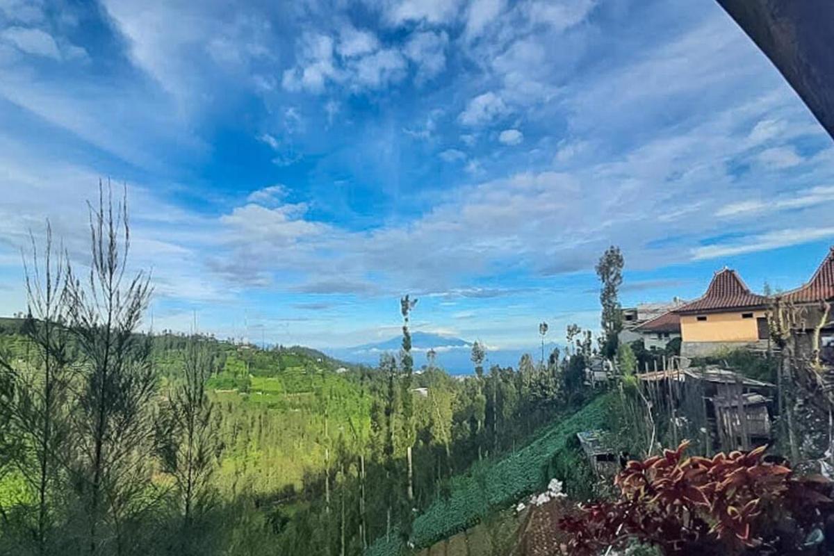 Bromo Indah Lestari Homestay Mitra RedDoorz - Housity