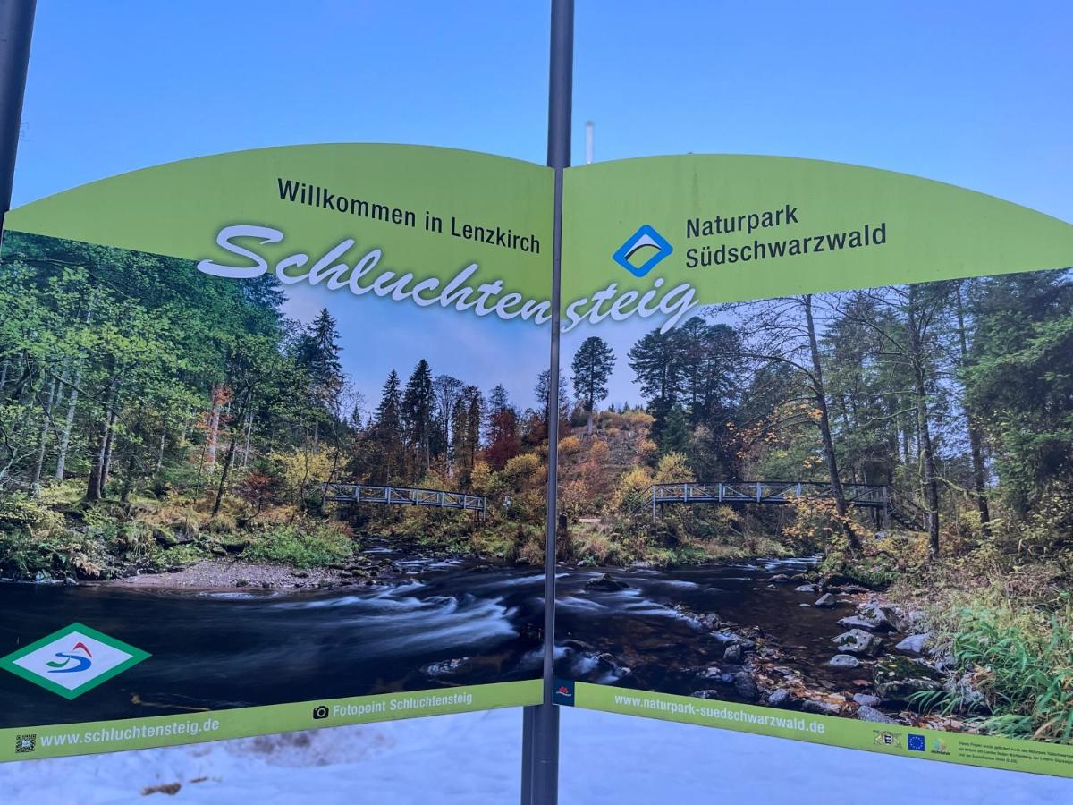 Schwarzwald-Nest Lenzkirch - Housity