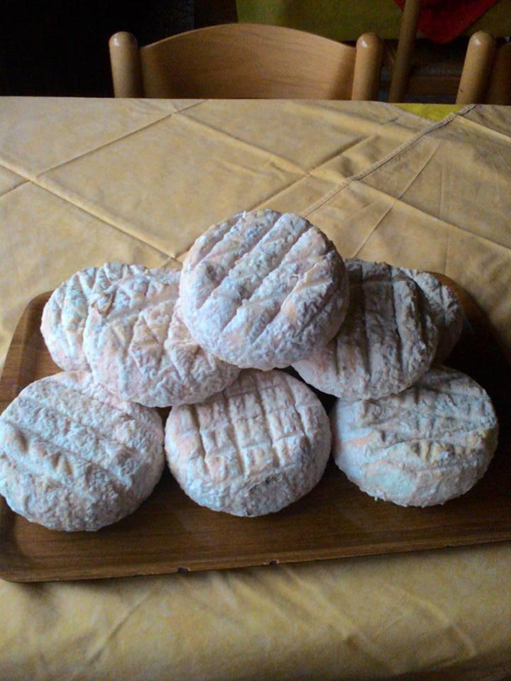 Agriturismo Fiorendo - Housity