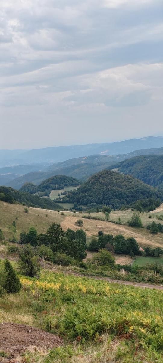 Seoski Turizam Feniks apartman Davidovi Psalmi - Housity