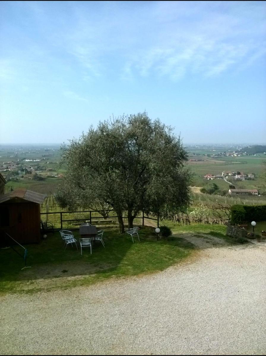 Il Castagneto - Housity