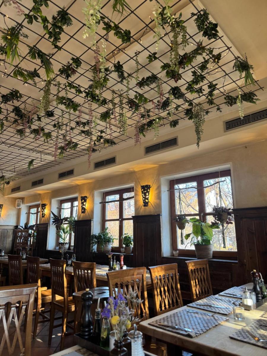 Weissenfelder Guest House & Restaurant - Housity