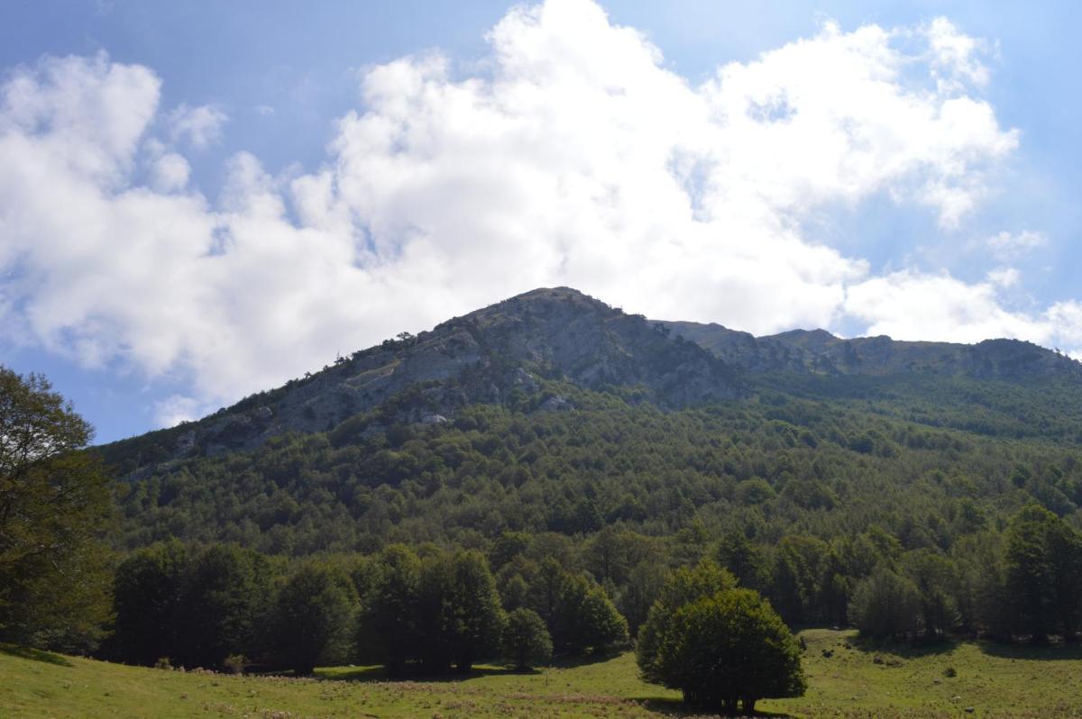 Casa Vacanze Cuore del Pollino - Housity