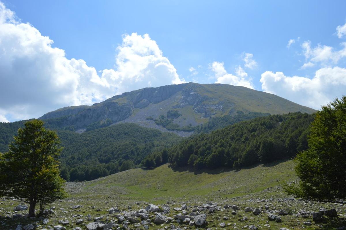 Casa Vacanze Cuore del Pollino - Housity