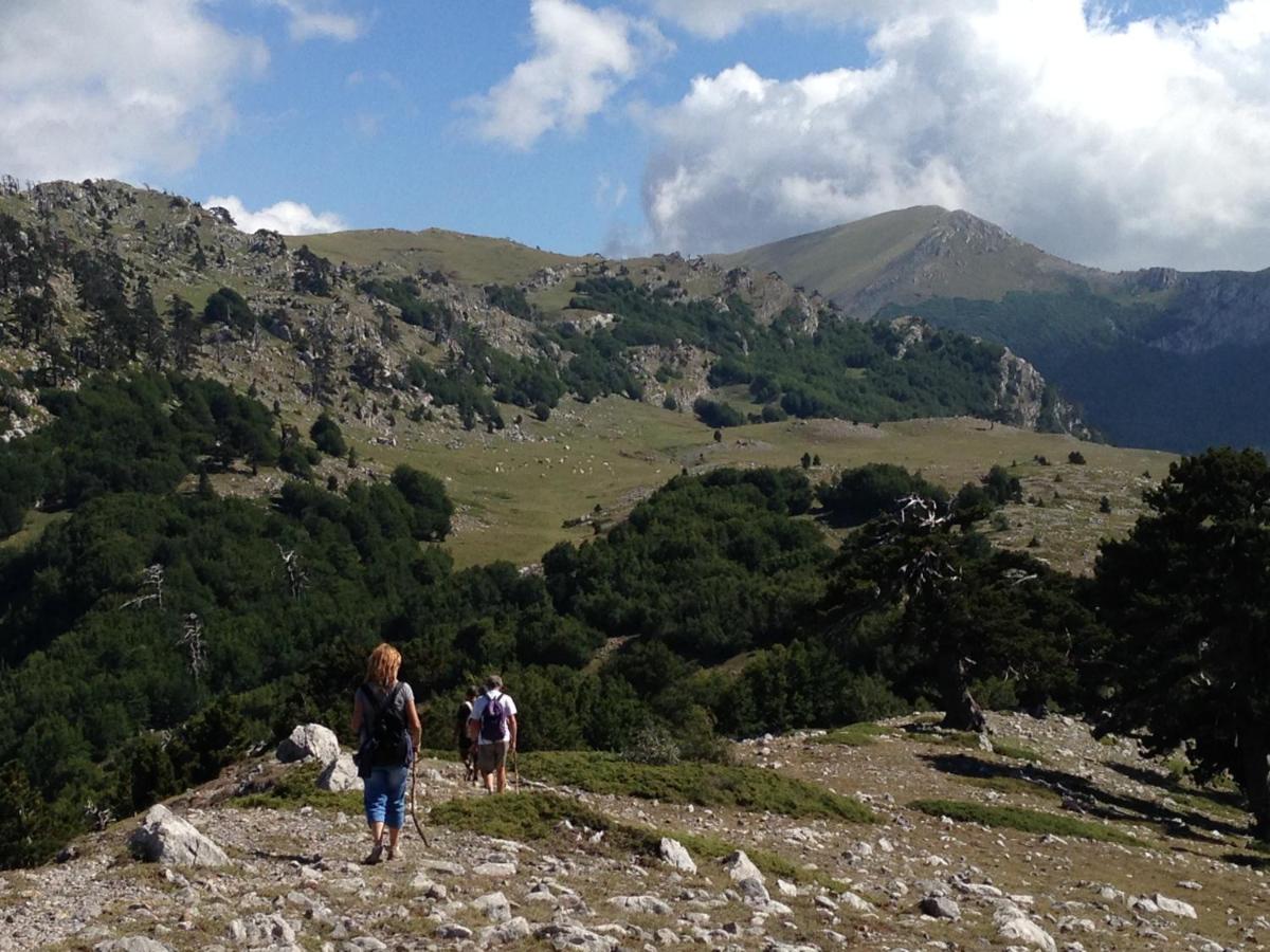 Casa Vacanze Cuore del Pollino - Housity